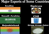 Major Exports of Some Countries Spices India Saudi Arabia Motx Bajookieland Oil Grum Grum Juice
