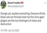 Doesn't matter + @AssholeGentlem1 ... Orange cat, explains everything. Everyone thinks black cats are the bad omen but the once again gingers are the true harbingers of chaos and destruction 11:17 PM • Apr 16, 2020