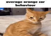 average orange car behaviour