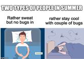 TWO TYPES OF PEOPLE IN SUMMER Rather sweat but no bugs in rather stay cool with couple of bugs imgflip.com 8 Onlymyhealth