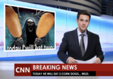 today will eat two CNN BREAKING NEWS TODAY HE WILL EAT 2 CORN DOGS... WILD.