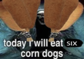 SIX today Twill eat sıx corn dogs
