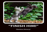 "FINISH HIM!" Flawless Victory!