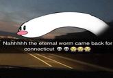 Nahhhhh the eternal worm came back for connecticut