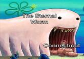 S The Eternal Worm Connecticut