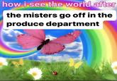 how i see the world after the misters go off in the produce department how i see the world after the misters go off in the produce department