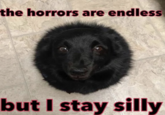 the horrors are endless but I stay silly