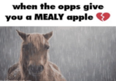 when the opps give you a MEALY apple