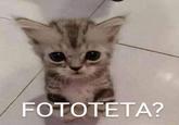 FOTOTETA?