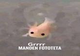 Grrrr MANDEN FOTOTETA