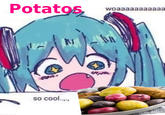 Potatos, so cool..... woaaaaaaaaaaa