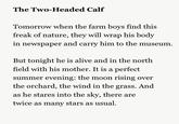 The Two-Headed Calf Tomorrow when the farm boys find this freak of nature, they will wrap his body in newspaper and carry him to the museum. But tonight he is alive and in the north field with his mother. It is a perfect summer evening: the moon rising over the orchard, the wind in the grass. And as he stares into the sky, there are twice as many stars as usual.