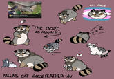 GOSEFEATHER feeding time AMAZING ANIMAL NETWORK-1.8M views 56 months ago 1:23 "THE BODY IS ROUND GOOSEKIT PALLAS CAT GOOSE FEATHER AU VERY TRANS NJ IN Z Z