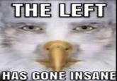 THE LEFT HAS GONE INSANE