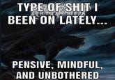 TYPE OF S--- I BEEN ON LATELY PENSIVE, MINDFUL, AND UNBOTHERED TYPE OF S--- I BEEN ON LATELY... PENSIVE, MINDFUL, AND UNBOTHERED