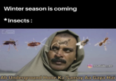 Winter season is coming *Insects: Sound Des soumidas_301 Ab Underground Hone Ka Samay Aa Gaya Hai