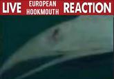 LIVE EUROPEAN HOOKMOUTH REACTION