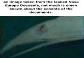 an image taken from the leaked Nasa Europa Docuents, not much is omen known about the conents of the documents.