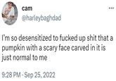 cam @harleybaghdad I'm so desensitized to f----- up s--- that a pumpkin with a scary face carved in it is just normal to me 9:28 PM Sep 25, 2022