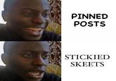 PINNED POSTS STICKIED SKEETS
