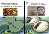 Diversos problemas na nossa região amazônica que precisam de ajuda urgente IBAMA Um rapaz com uma capivara em seu habitat @manausmemes IBAMA