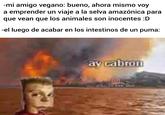 -mi amigo vegano: bueno, ahora mismo voy a emprender un viaje a la selva amazónica para que vean que los animales son inocentes :D -el luego de acabar en los intestinos de un puma: av cabron o @lucas.exe_shit