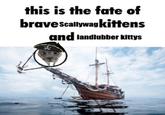 this is the fate of brave scallywag kittens and landlubber kittys