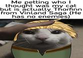 Me petting who I thought was my cat but is actually Thorfinn from Vinland Saga (He has no enemies)