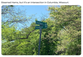 Steamed Hams, but it's an intersection in Columbia, Missouri. 124 Chalmers R Seymour Rd