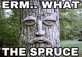 ERM.. WHAT THE SPRUCE