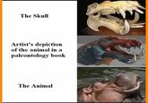 The Skull Artist's depiction of the animal in a paleontology book The Animal