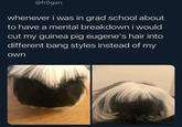 @frogan whenever i was in grad school about to have a mental breakdown i would cut my guinea pig eugene's hair into different bang styles instead of my own