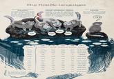 the nordic Languages INDO-EUROPEAN NORTH GERMANIC ICELANDIC An archaic language that greatly resembles the old Norse spoken by the ancient vikings. The scandinavian languages were also born out of old Norse, but are no longer mutually intelligible with Icelandic. mjá ENGLISH home For comparison's sake: the old world language English. .Related to Icelandic and the three Scandinavian languages. language north island strong weak day night snow wind fire troll cat heim tungumál norður eyja sterkur veikur dagur nótt INDO-EUROPEAN NORTH GERMANIC SCANDINAVIAN DANISH, NORWEGIAN, SWEDISH Knowing one of the scandinavian languages is enough to understand all three, especially in written form. Spoken Danish can prove tricky to grasp particularly for Swedes, but Norwegian bridges the gap between Danish and Swedish. ICELANDIC DANISH NORWEGIAN SWEDISH FINNISH hjem hjem hem burdo bördo, språk spurdo späro nord spede beard snjór vindur eldur tröll köttur mjav sprog nord. 0 stærk svag dag nat sne vind ild trold. mjau kat oy sterk svak dag natt snø vind ild troll mjau katt språk nord Ö stark svag dag natt. snö vind eld troll katt URALIC FINNO-UGRIC FINNIC FINNISH Not from the same language family as the other four Nordic languages. Absolute gibberish. :-DDDD bädro tsöbö späro bärde sburdro sbärdo ebin XDDD sröbo bärda benis :DD budro spöar berdö sbordä sperdö sburdö :DDD 453