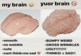 my brain (1 -smooth -no weinkls -cute -cant think=no sad yuor brain -BUMPY WEIRD -GROSS WRINKLES -UGLY!!!!!!!! -THINKS! = SAD!!