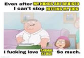 Even after MY HANDS ARE BRUISED I can't stop HITTING MY DOG I f------ love imgflip.com ANIMAL ABUSE So much.