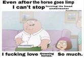Even after the horse goes limp I can't stop forcing its head underwater R3 WeedMemes.com I f------ love drowning So much. horses.