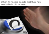 When TikTokers decide that their new aesthetic is old money: C