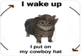 I Wake Up / There Is X I wake up @cats_and_cowboy_hats I put on my cowboy hat