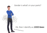 Gender is what's in your pants? Ok, then I identify as 10000 bees how did they get there? bosito ding