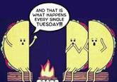 AND THAT is WHAT HAPPENS EVERY SINGLE TUESDAY!!!