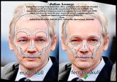 Julian Assange Julian Paul Assange is an Australian editor, publisher, and activist. He founded the non-profit news leak media organisation WikiLeaks in 2006. The organisation published numerous leaked documents between 2007 and 2009. which served as the basis for news stories in several countries and had a significant impact on political news. Wikipedia Born: Julian Paul Hawkins, July 03, 1971, Townsville, Queensland, Australia com male skull WOOOO female skull