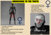 SLEEK'N'TEARS AWAKENING TO THE TRUTH + V-shape clavicles. - Short arms. Spine can be seen curving inwards even from here. - Stance compensating for Q-angle and feminine shortness. - Close set female eyes. Centred facial features. - Flat forehead. - No Adam's Apple? - Small female mouth. - Beard to compensate? A D+ female skull