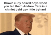 Brown curly haired boys when you tell them Andrew Tate is a chinlet bald gay little tryhard