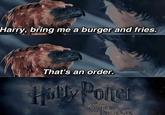 Harry, bring me a burger and fries. That's an order. Holly Poner AND. THE ORDER OF THE PHOENIX