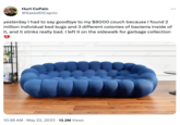 Hurt CoPain @Saeed DiCaprio : yesterday I had to say goodbye to my $8000 couch because I found 2 million individual bed bugs and 3 different colonies of bacteria inside of it, and it stinks really bad. I left it on the sidewalk for garbage collection 10:38 AM · May 22, 2023 13.2M Views
