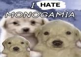 I HATE MONOGAMIA