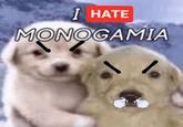 I HATE MONOGAMIA
