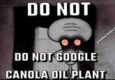 DO NOT @OURMEMEDAILY DO NOT GOOGLE CANOLA OIL PLANT
