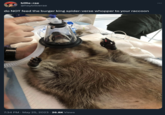 billie-rae @heybillierae do NOT feed the burger king spider-verse whopper to your raccoon 7:34 PM . May 25, 2023 · 26.8K Views :