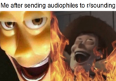 Me after sending audiophiles to r/sounding